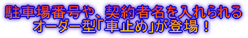 駐車場番号や、契約者名を入れられる オーダー型「車止め」が登場！