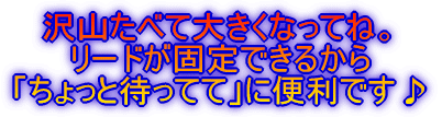 沢山たべて大きくなってね。 リード固定できるから 「ちょっと待ってて」に便利です♪